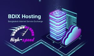 BDIX কি? কেন এটি বাংলাদেশের ওয়েবসাইটের জন্য অপরিহার্য?