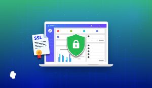 সিপ্যানেলে কিভাবে SSL Certificate কিভাবে ইন্সটল করবেন? (গাইডলাইন)